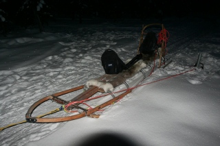 The dog sled.