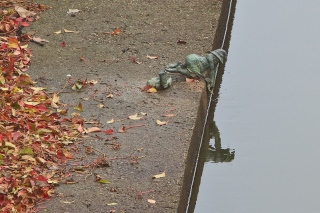 The Raccoon dwarf hanging over the edge washing his clothes in the water.