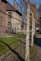 Auschwitz looking through the fence to the outside.