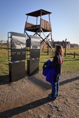 Rhonda looking at some of the photographs at Auschwitz-Birkenau.