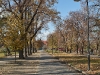 One of the parks along the river in Wroclaw.