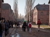 A large number of people tour Auschwitz  constantly.  The tours are about 20 to 30 people each and an english speaking tour guide led us around.  No photographs are allowed inside the buildings.