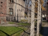 Auschwitz looking through the fence to the outside.