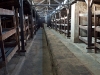 Bunk beds in the Auschwitz II. There were as many as four inmates per bunk. There could be as many as a thousand inmates per barrack like the one pictured.  I believe these were originally horse stalls designed to hold 40 to 50 horses.