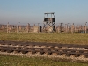 Ruins at Birkenau, with brick chimneys belonging to wooden barracks.