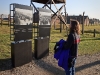 Rhonda looking at some of the photographs at Auschwitz-Birkenau.