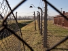 Looking through a fence at Auschwitz-Birkenau.
