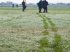 Footprints on the morning dew in the grass with some jumpers walking in.