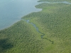 Arial view of the mangroves.  We later learned we explored this specific inlet during our tour.