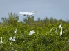 Our first stop was to check out the birds in the mangroves.  We saw mainly Egrets and a few Blue Herron.