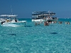 Other crowded stingray tour boats.