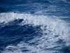 The boat wake as we went to our snorkeling area.