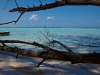 A view on the way to Rum Point beach.